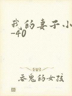 我的妻子小谨1-40