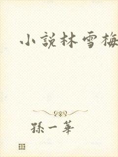 小说林雪梅
