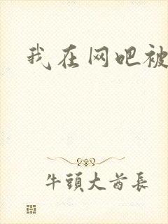 我在网吧被黑人封面