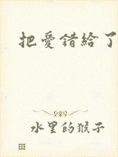 把爱错给了你