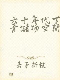 六十年代下乡知青储物空间封面