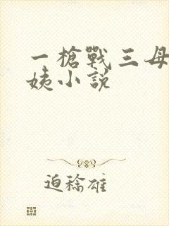 一枪战三母2雪姨小说封面