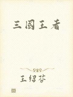 三国王者