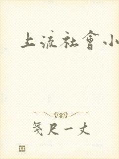 上流社会小说封面