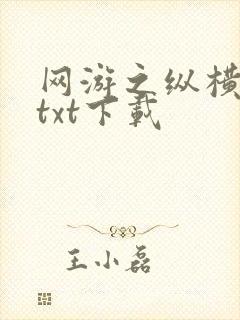 网游之纵横天下txt下载封面