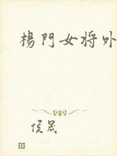 杨门女将外传封面