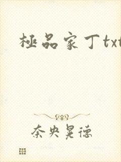 极品家丁txt封面