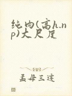 纯肉(高h.np)大尺度