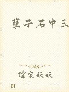 孽子石中玉