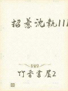 招惹沈执11h封面