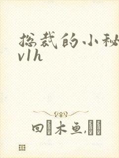 总裁的小秘书1v1h