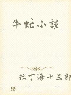 牛虻小说