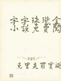 字字珠玑金银花小说免费阅读封面