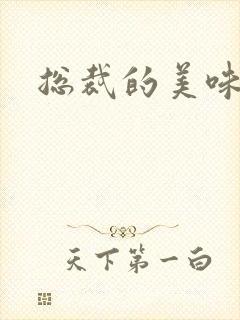 总裁的美味娇妻