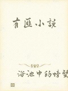 有匪小说