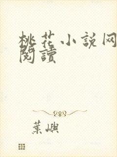 桃花小说网小说阅读封面