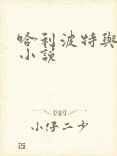 哈利波特与密室小说封面