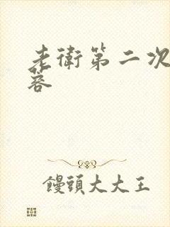 老卫第二次玩淑蓉封面