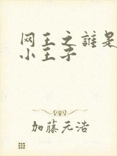 网王之谁是我的小王子封面