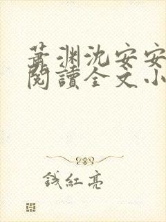 萧渊沈安安免费阅读全文小说封面