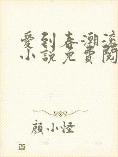 爱到春潮滚滚来小说免费阅读