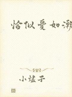 恰似爱如潮封面