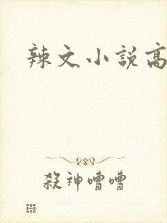 辣文小说高h