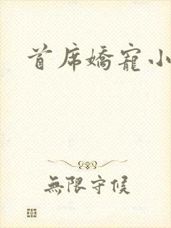 首席娇宠小情人