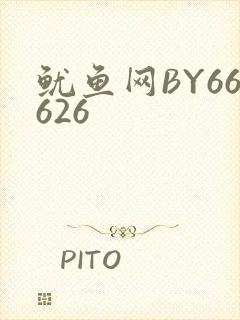 鱿鱼网BY66626