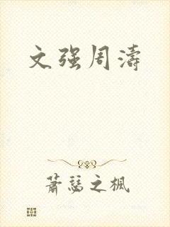 文强周涛