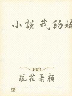 小说 我的娇妻