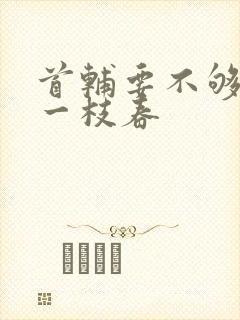 首辅要不够po一枝春