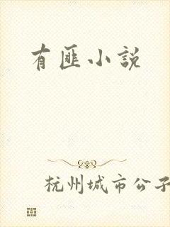 有匪小说