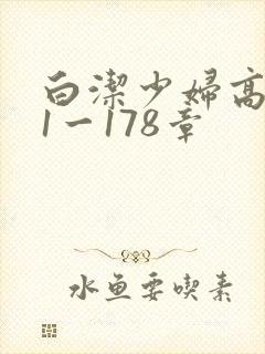 白洁少妇高义第1一178章