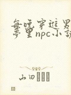 每晚穿进男神的梦里npc小说