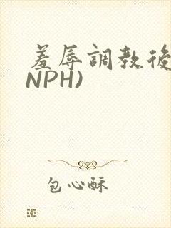 羞辱调教后宫(NPH)封面