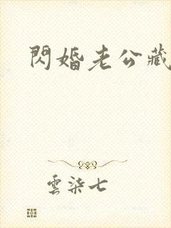 闪婚老公藏不住