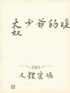 大少爷的暖床小奴