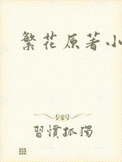 繁花原著小说
