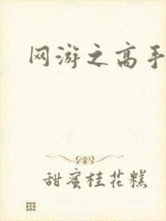 网游之高手寂寞