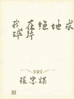 我在绝地求生捡碎片