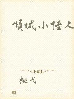 倾城小佳人封面