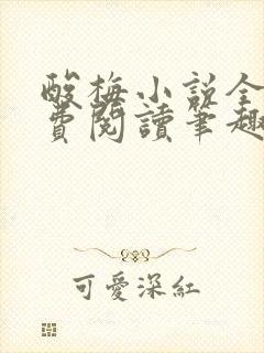 酸梅小说全文免费阅读笔趣阁