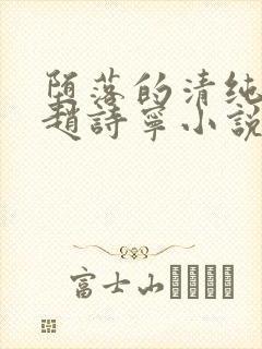 堕落的清纯校花赵诗宁小说阅读