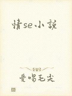 情se小说