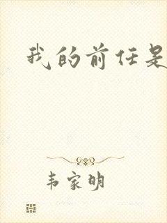 我的前任是极品