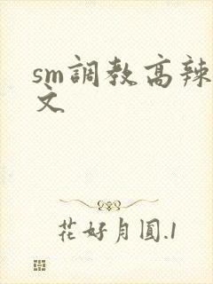 sm调教高辣h文