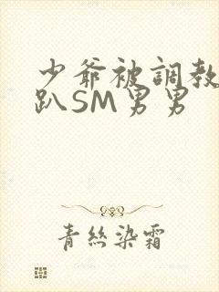 少爷被调教室跪趴SM男男