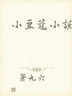 小豆蔻小说封面