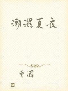 潮湿夏夜封面